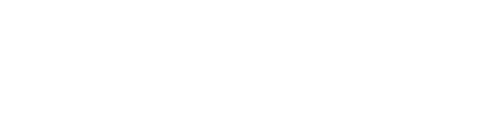 Bloom Festival